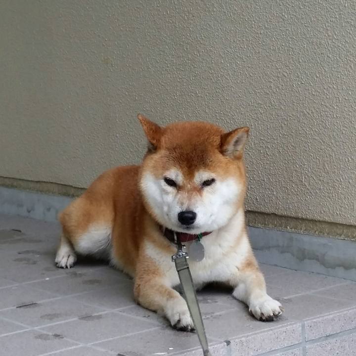 493adf92 82ae 4015 9c5b 7f4cd12abb0d