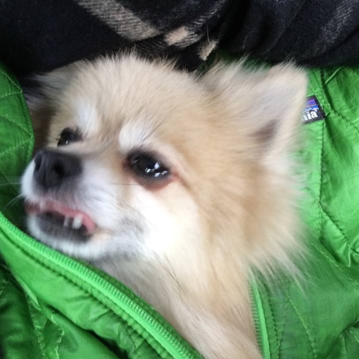 493b6bfc f7c7 4107 89c0 55be629b92fe