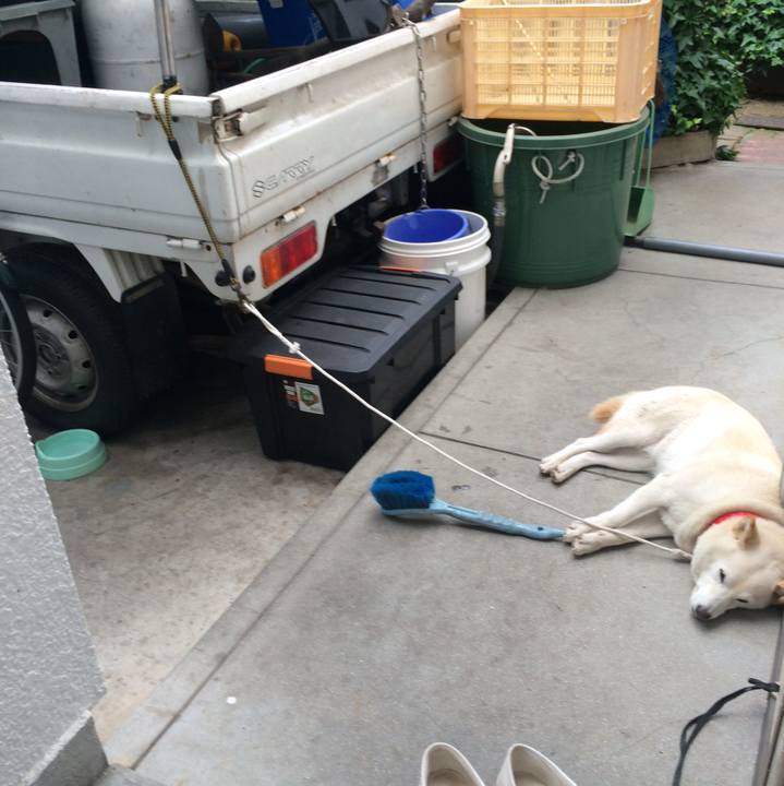 493b8997 5515 451d ac22 bad2483443ce