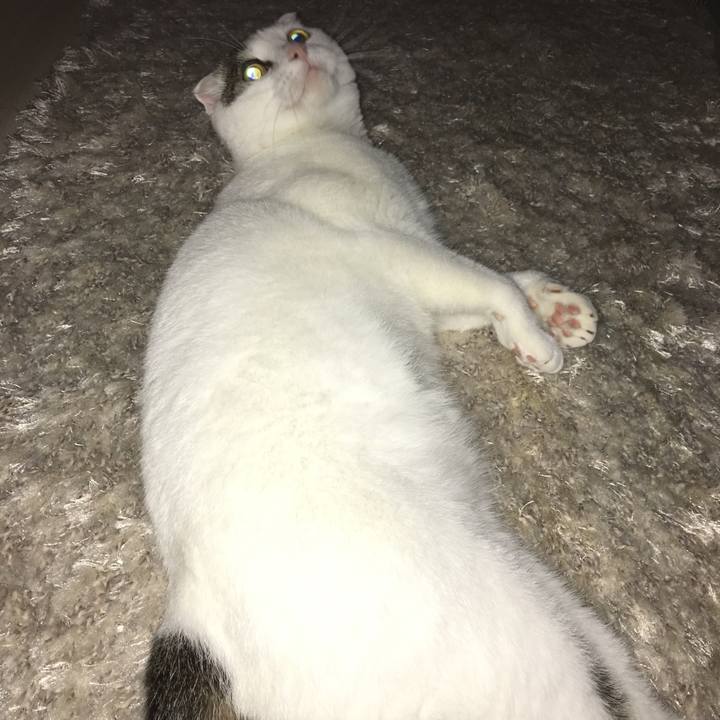 493bc96c 408b 4995 b008 d350c7c5fce2