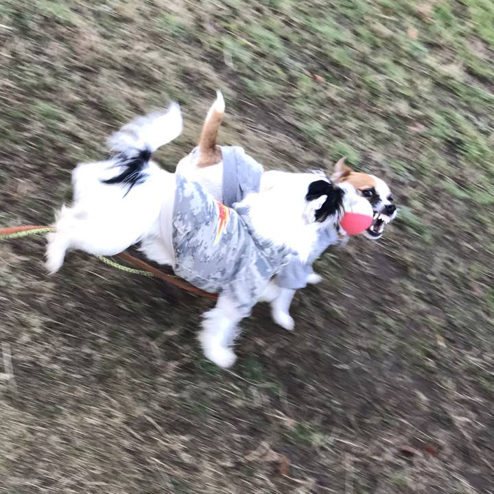 493c29c1 c933 432a 9571 bfae837d5ede