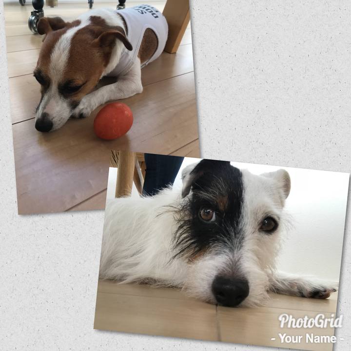 493c53ee fece 4f87 802a 3afcdba36c5e