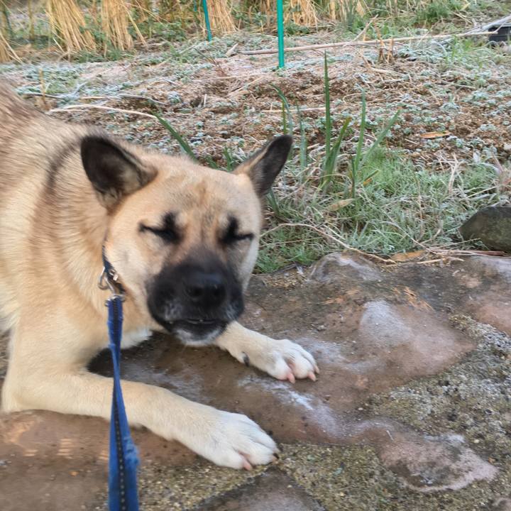 493cf4fa 94d5 4987 84c6 34a2722fe4e8