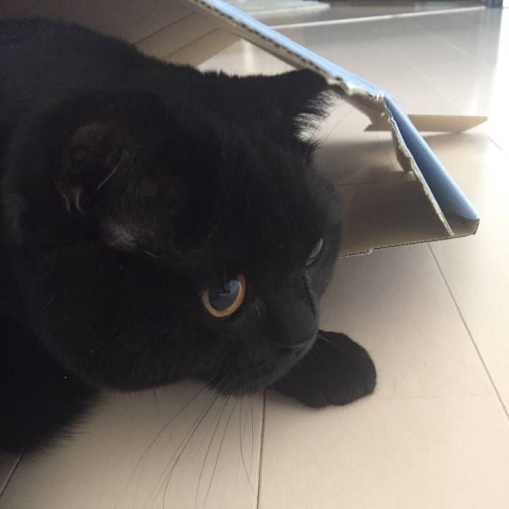 493e5f26 6e55 41cd b089 b41c3c3f93bc