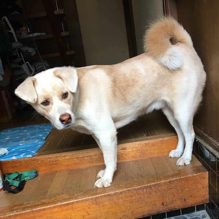 493f4675 96ce 455c 9172 5f8512b91a02