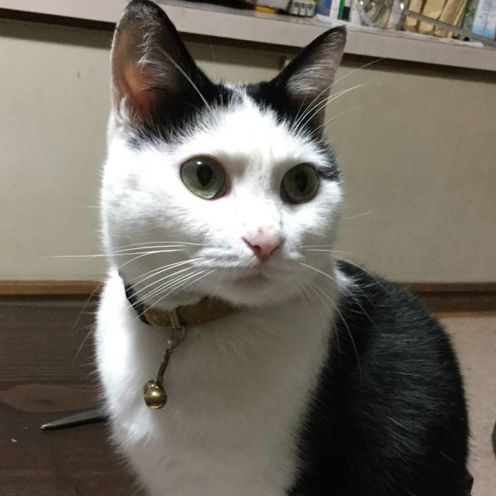 493f57cf 03cb 4e37 9f6a 86776b4a0fbe