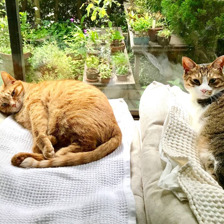 49406d68 223b 4130 a036 adcdab651f94