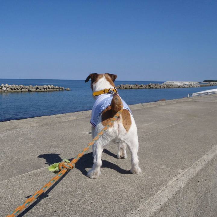 4941da06 619c 4151 88aa ce866f39e521