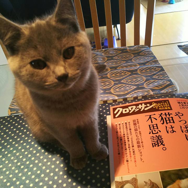 4941eb06 2f28 430b 88cc d1553680265c