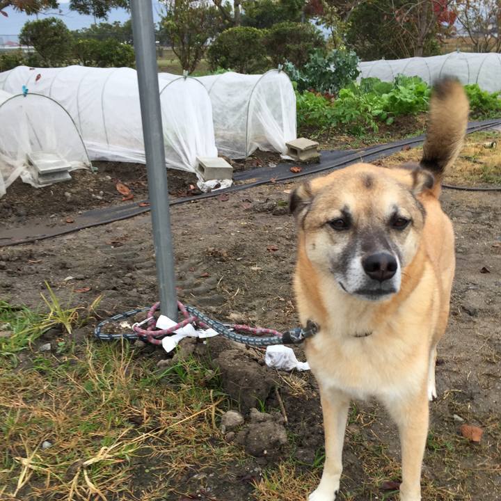 49423bda 13d0 42a0 b81b d2874b364c6b