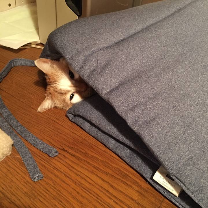 49425963 8d64 41c8 adee 460cb8926acd