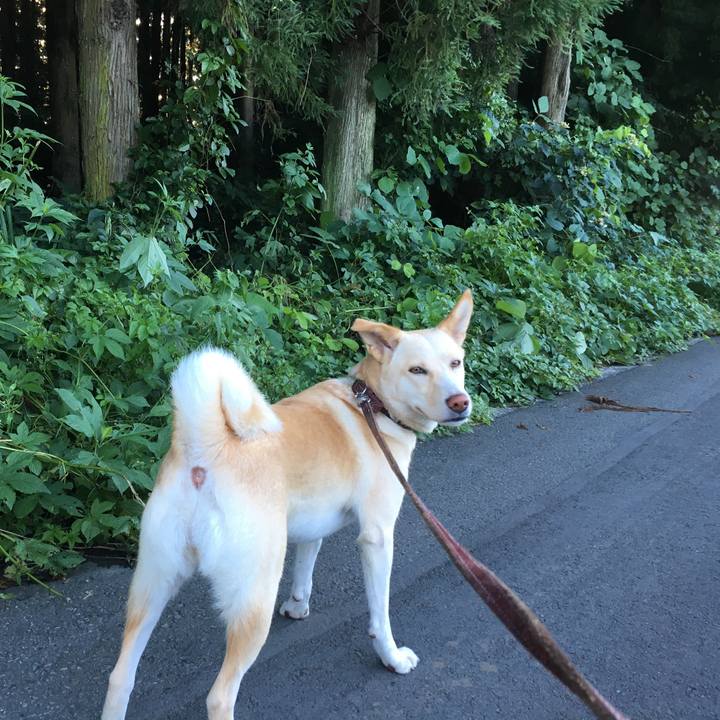 494299a5 7c7b 4cb2 aefe 27a3df269fb0