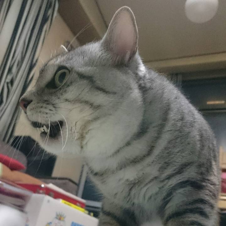 4942f07d 8803 4e36 825a f8ea6675bc49