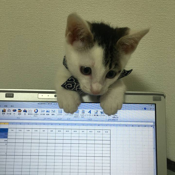 4942fe2a bb5b 4207 b4ea 9c1505f922d0