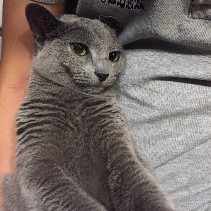 4944f6fe a325 4e93 8a94 0a4921c46006