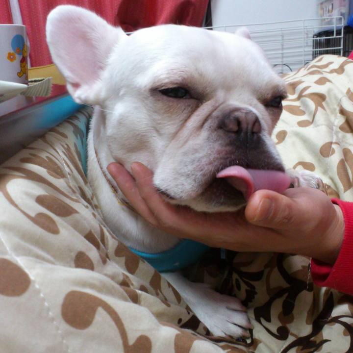 4945d605 c1ef 4682 ab5e 476fe9b3bf2b