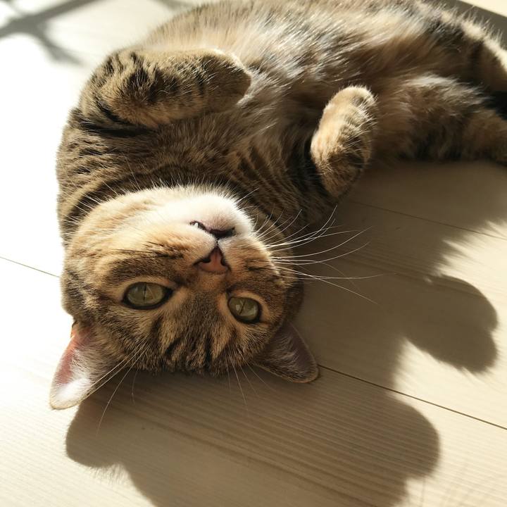 49463d49 1394 456c bb22 ad12418a963f