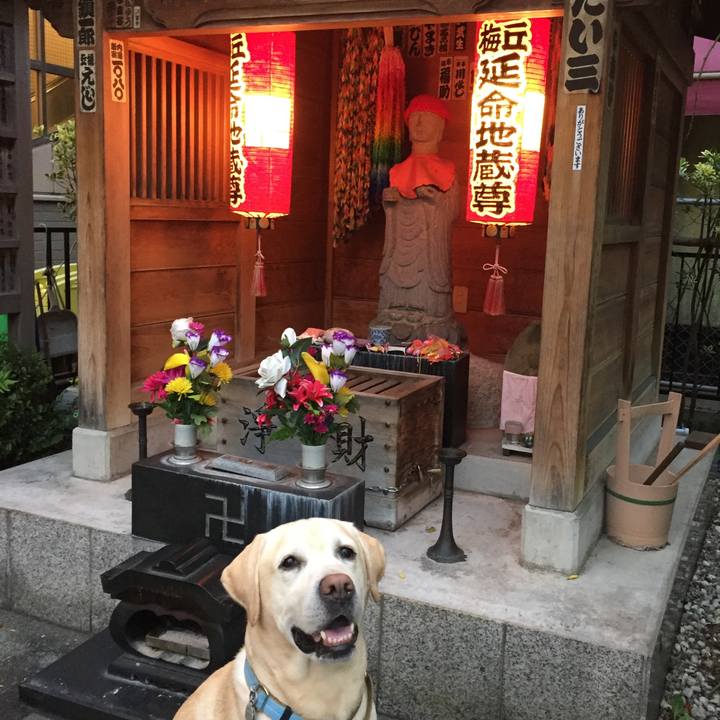 4946754d 9dd6 482a a345 976f147c4086