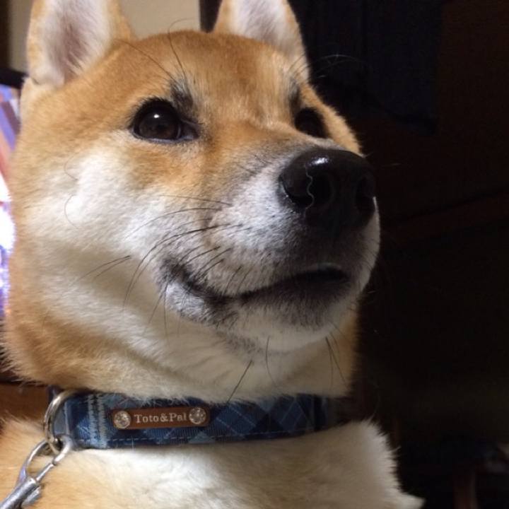 4946952b 1673 4484 b3d1 f18dcd34030a