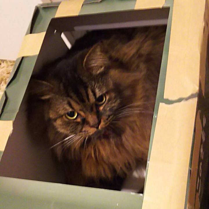 4946ac50 21b1 4500 85c7 58d25727c181