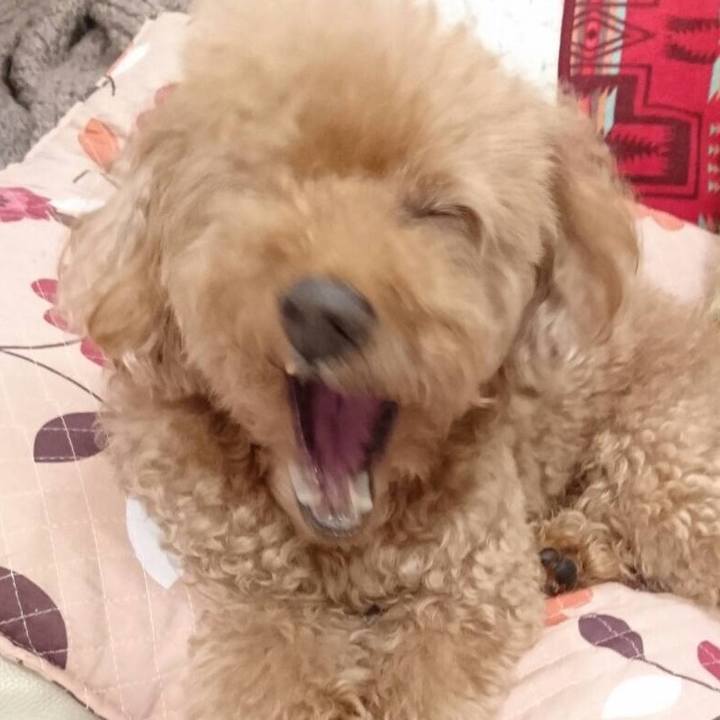 4946ba9e fc49 4874 b088 f0086695c187