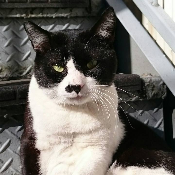 4946d872 215e 4630 9ea4 acde35bee1af