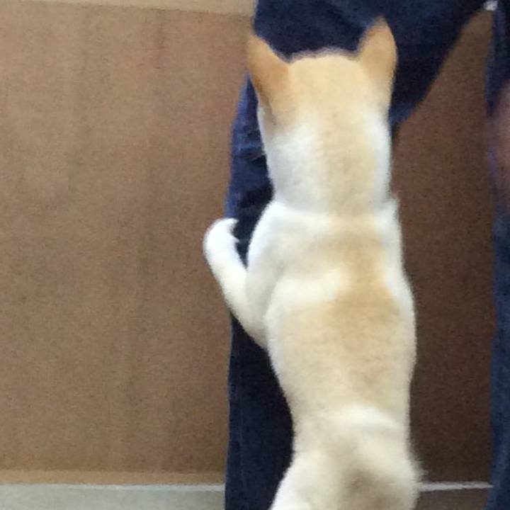 4947070e cc35 4023 850f 6aa5031a42a1