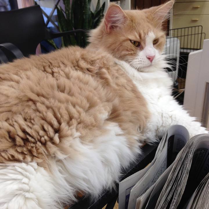 49470b87 4a70 4cfa b783 6dc02e7edf5e