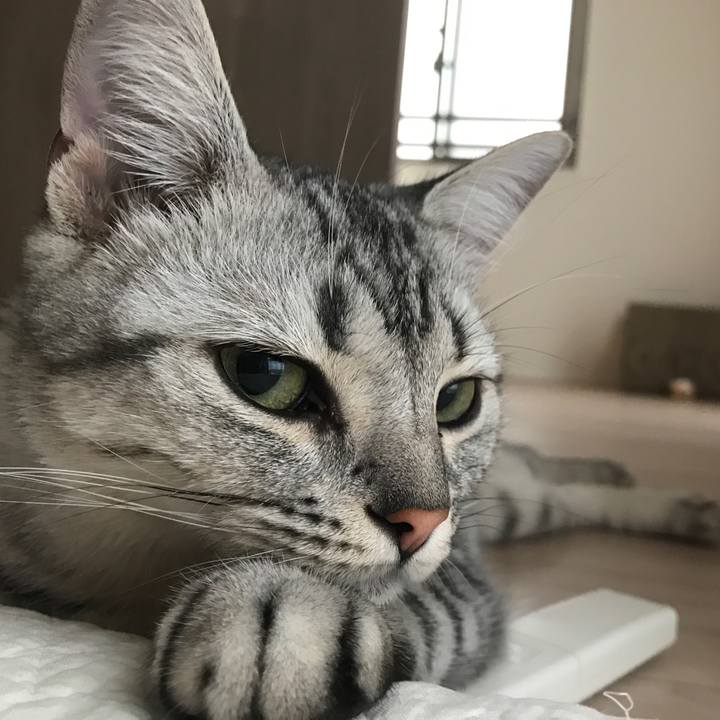 49484a6d 8086 46e2 bd82 7e0946e2612e