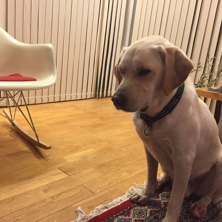 49488c41 f925 4d87 80c5 d532d01d59c4