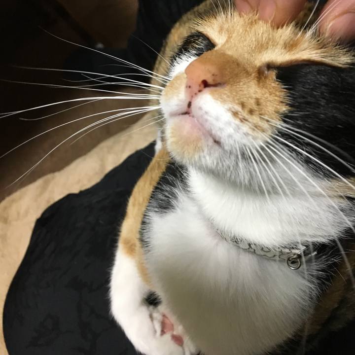 49492568 0772 4380 ab87 2e8a4b942e2e