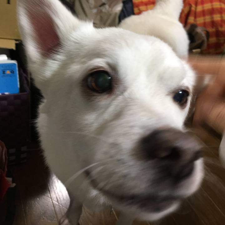 49494394 1189 4700 893a 1f7f7768c3df