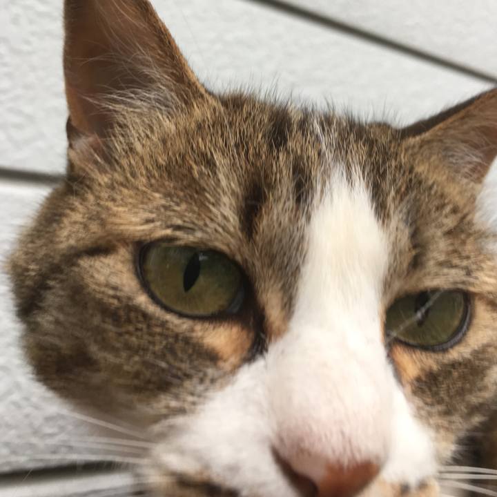 49494afc d9b9 4370 a034 e7057ebda8cf