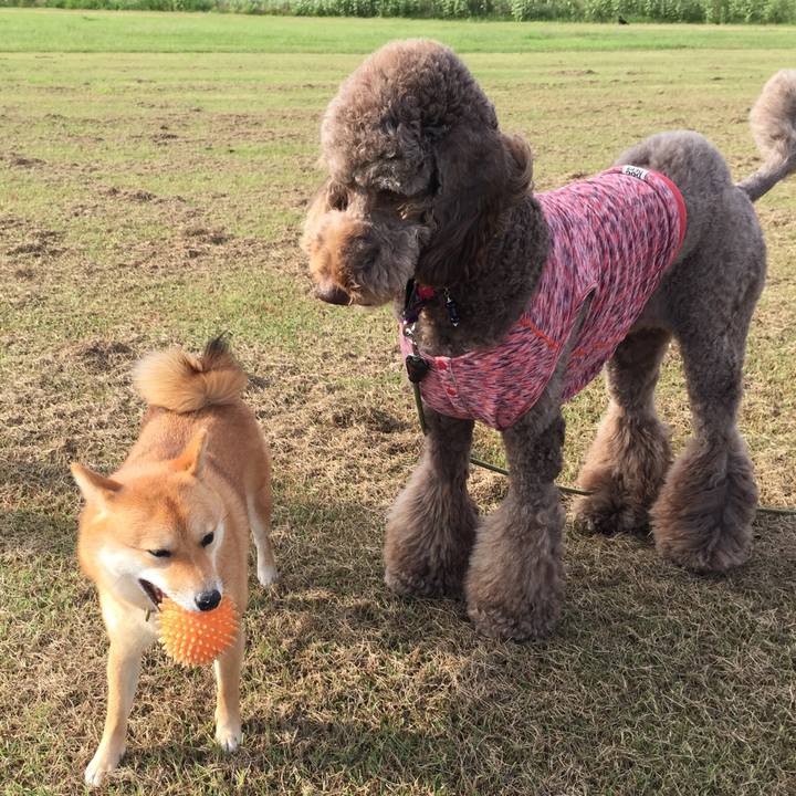 494b23e5 c012 4a0b 8493 920f50859763