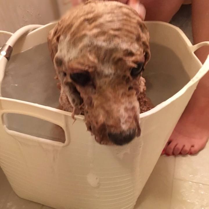 494bd682 657a 4597 993d 2db371866d28