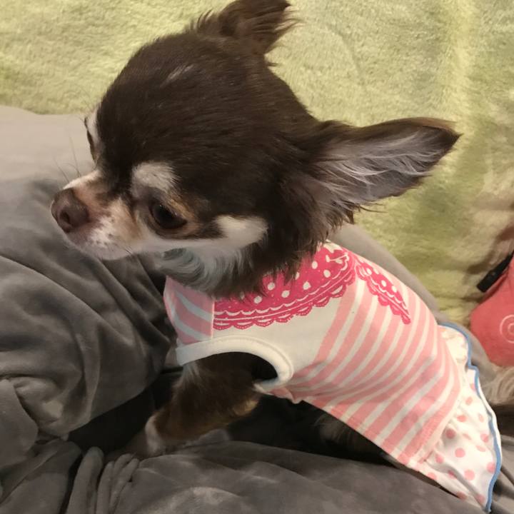 494bd740 e46e 42d3 a4b1 dbb2a00c8ec0