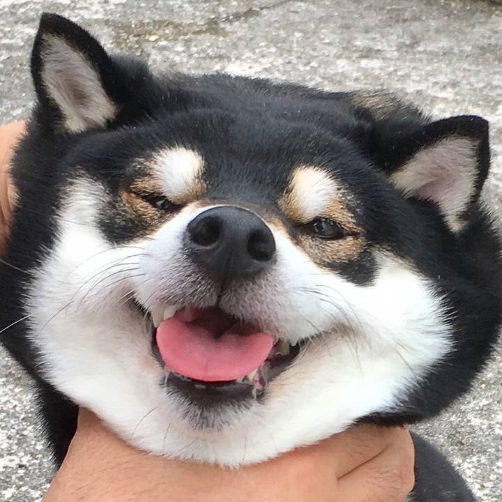 494bf1be 796f 42e5 8392 ae07dc72e2cf