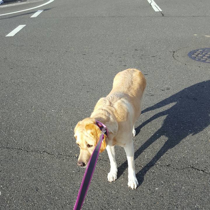 494bf1cb d6cb 477a 887d 4821f8f42eb2