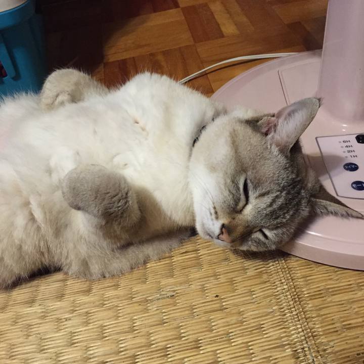 494bf4bc 948e 4459 b29e 82e4fee3d2ee