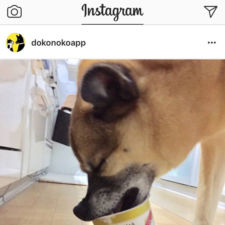 494ce1fa afbe 43b1 82eb 87b198f1c380