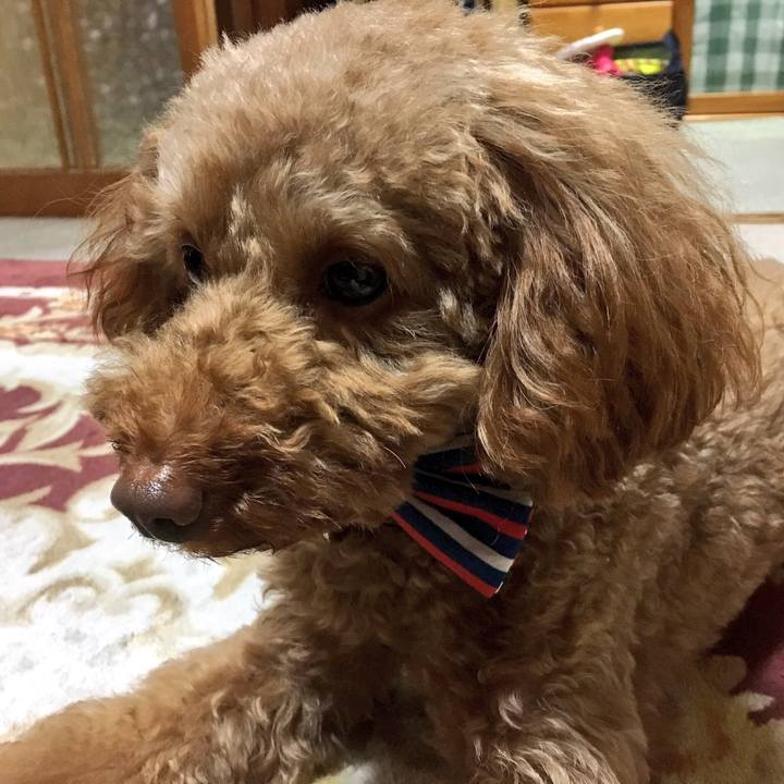 494d1701 edf0 4ffb af46 c9d08c06ed03