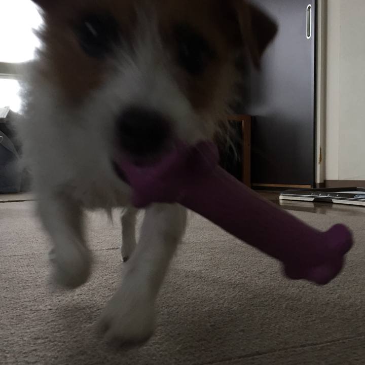 494d1f9f e911 457d acf9 4d7bc82b1192