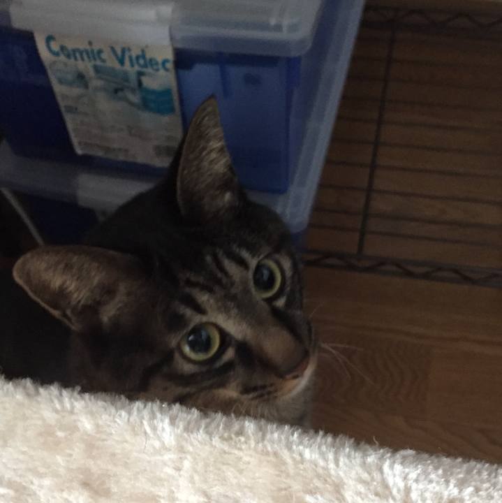 494fb019 8d50 45c5 a321 a14765d2b8cc