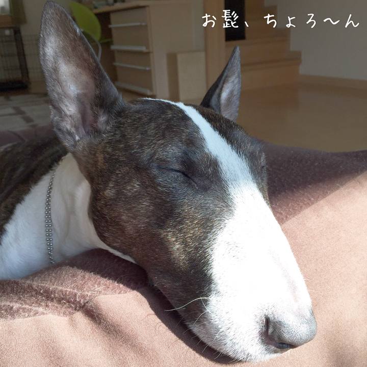 4950631f c103 4209 83c2 73a3edc8d31d