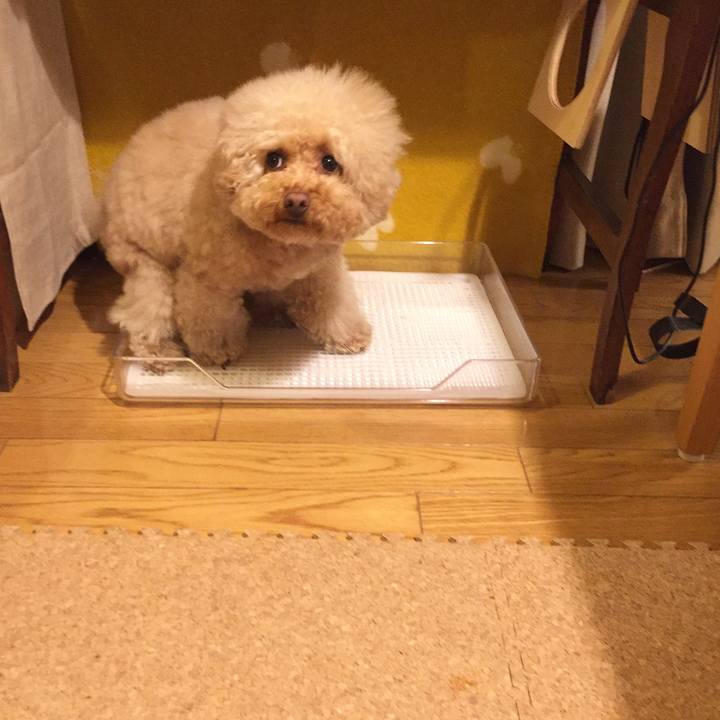 4950cc5c f69f 4f3d bdec b229037e4b94