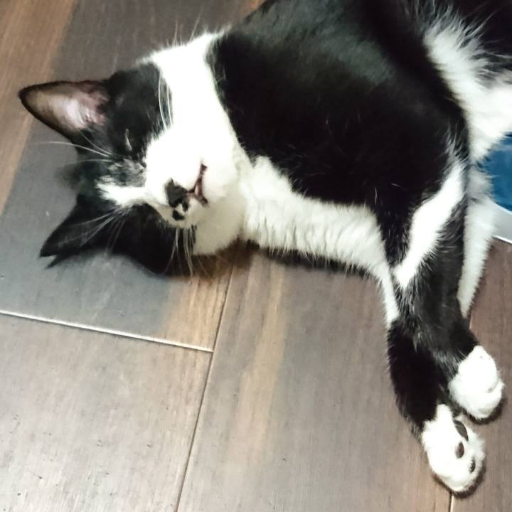 4950f7eb da7a 48fc ab12 0675d35eb89d