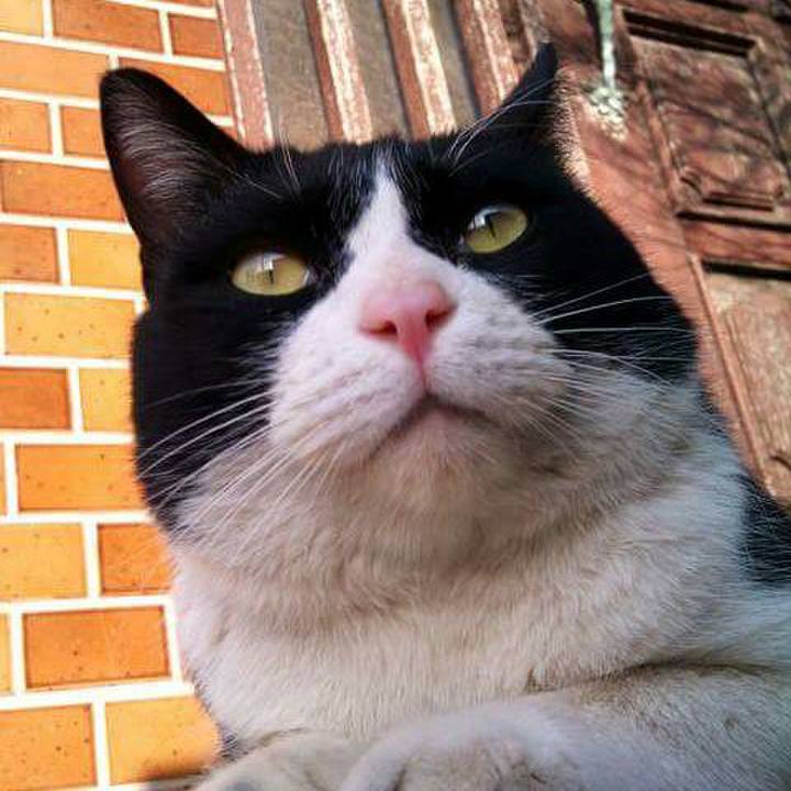 49513b7d 15a4 45ef aa2b fb0bad6a05d5