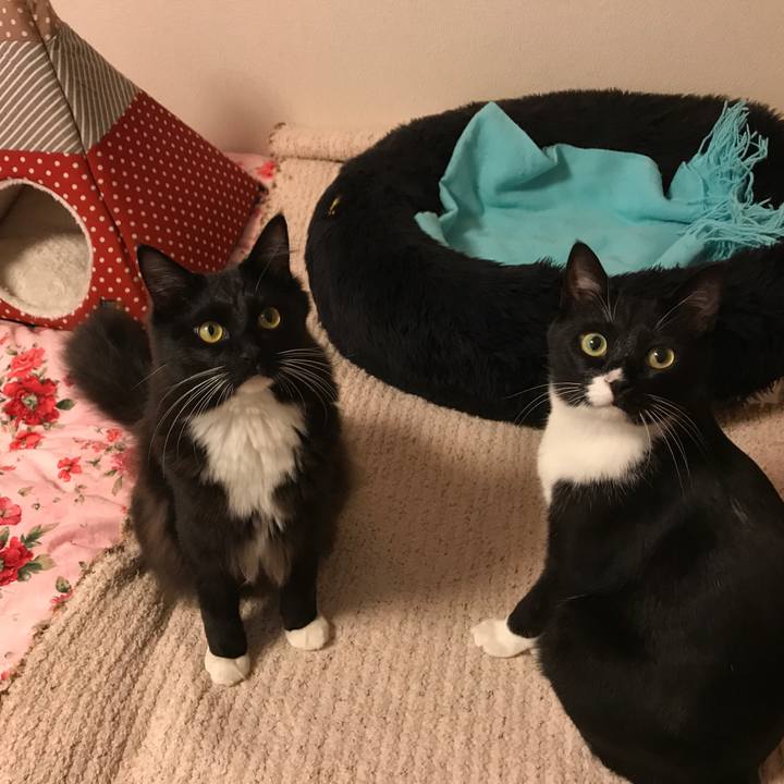 49518169 bb5f 4b47 b0fc e40907ebc085