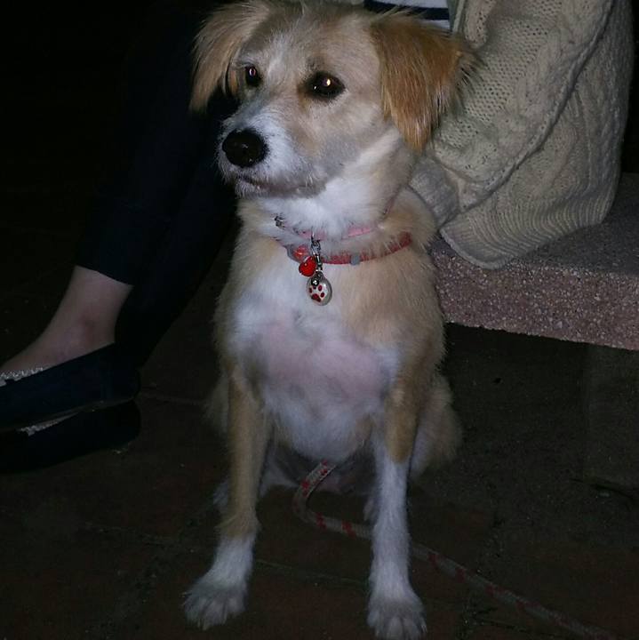 4951b67f e5dc 4ef0 a857 4a3355a47554