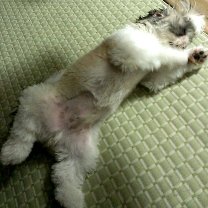 4951cac7 a4bc 4b44 9163 4bf87919d7c0